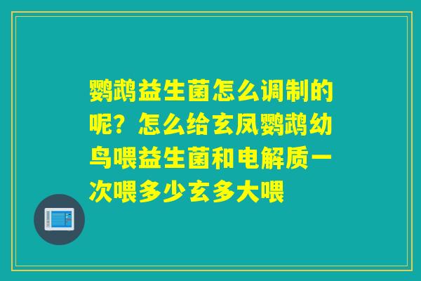 鹦鹉益生菌怎么调制的呢？怎么给玄凤鹦鹉幼鸟喂益生菌和电解质一次喂多少玄多大喂