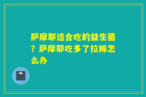 萨摩耶适合吃的益生菌？萨摩耶吃多了拉稀怎么办
