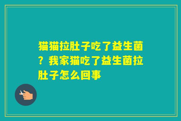 猫猫拉肚子吃了益生菌？我家猫吃了益生菌拉肚子怎么回事