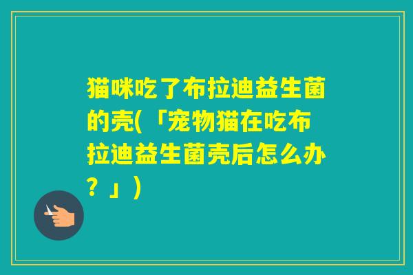 猫咪吃了布拉迪益生菌的壳(「宠物猫在吃布拉迪益生菌壳后怎么办?」) 猫咪吃了布拉迪益生菌的壳(「宠物猫在吃布拉迪益生菌壳后怎么办?」)