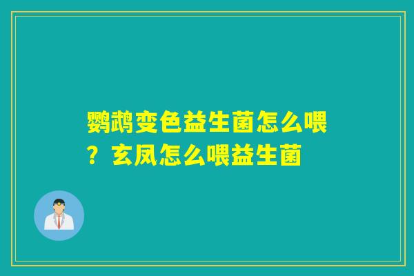 鹦鹉变色益生菌怎么喂？玄凤怎么喂益生菌