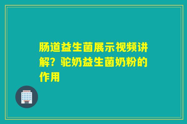 肠道益生菌展示视频讲解？驼奶益生菌奶粉的作用