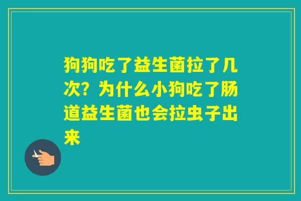狗狗吃了益生菌拉了几次？为什么小狗吃了肠道益生菌也会拉虫子出来