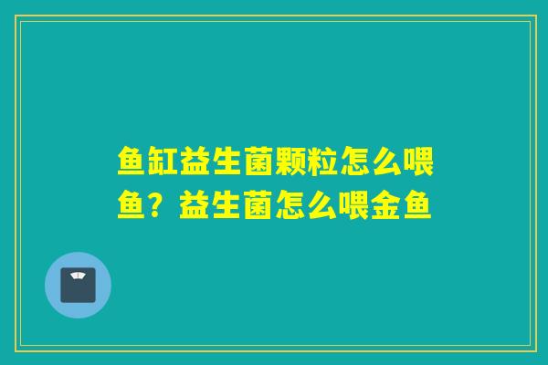 鱼缸益生菌颗粒怎么喂鱼？益生菌怎么喂金鱼