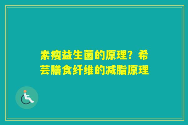 素瘦益生菌的原理？希芸膳食纤维的减脂原理