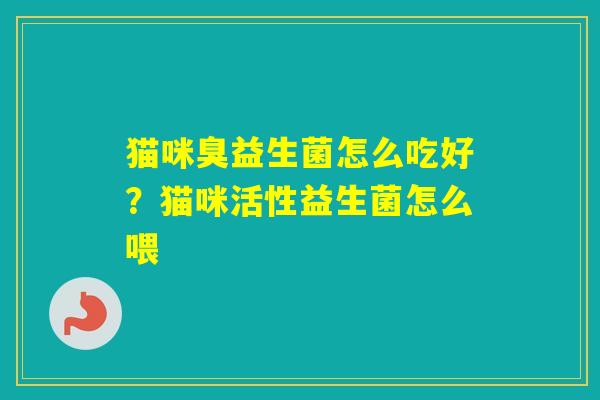 猫咪臭益生菌怎么吃好？猫咪活性益生菌怎么喂