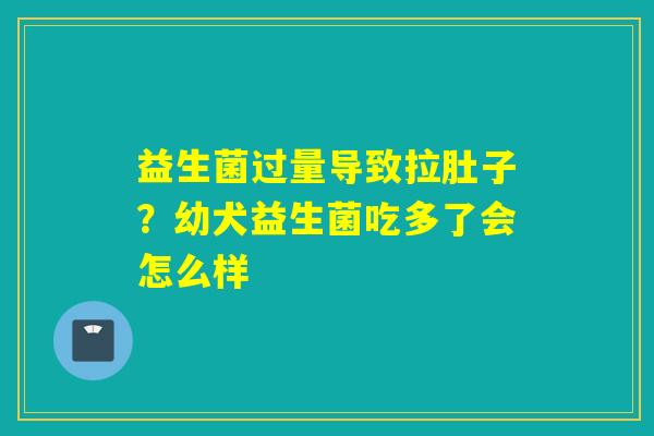 益生菌过量导致拉肚子？幼犬益生菌吃多了会怎么样