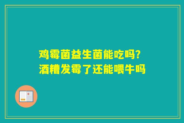 鸡霉菌益生菌能吃吗？酒糟发霉了还能喂牛吗