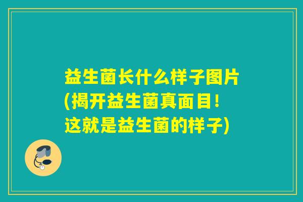 益生菌长什么样子图片(揭开益生菌真面目！这就是益生菌的样子)