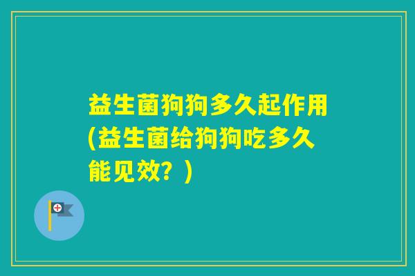 益生菌狗狗多久起作用(益生菌给狗狗吃多久能见效？)