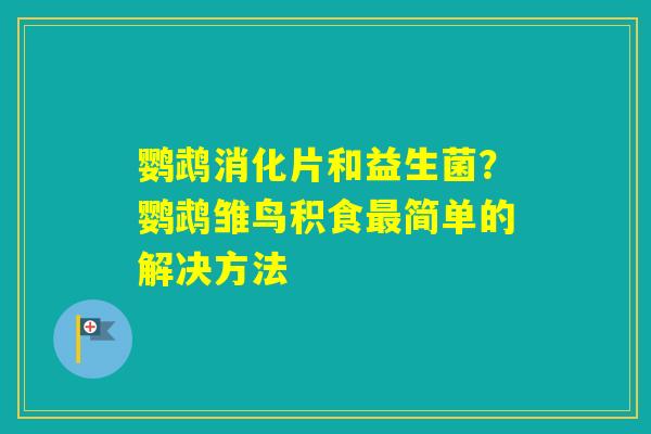 鹦鹉消化片和益生菌？鹦鹉雏鸟积食简单的解决方法