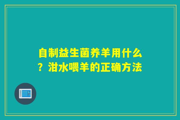 自制益生菌养羊用什么？泔水喂羊的正确方法