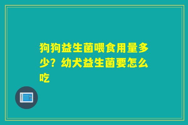 狗狗益生菌喂食用量多少?幼犬益生菌要怎么吃 狗狗益生菌喂食用量多少?幼犬益生菌要怎么吃