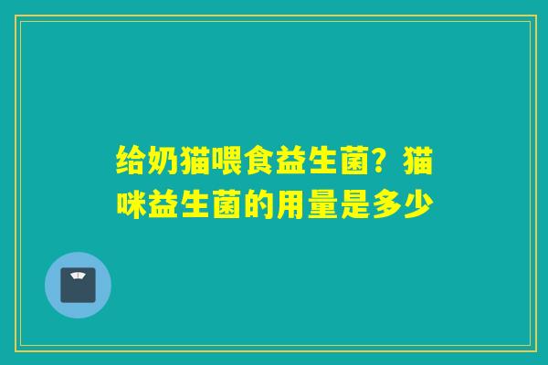 给奶猫喂食益生菌？猫咪益生菌的用量是多少