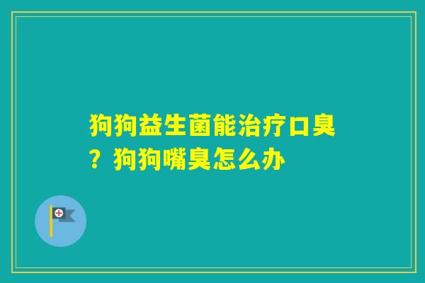 狗狗益生菌能?狗狗嘴臭怎么办 狗狗益生菌能?狗狗嘴臭怎么办