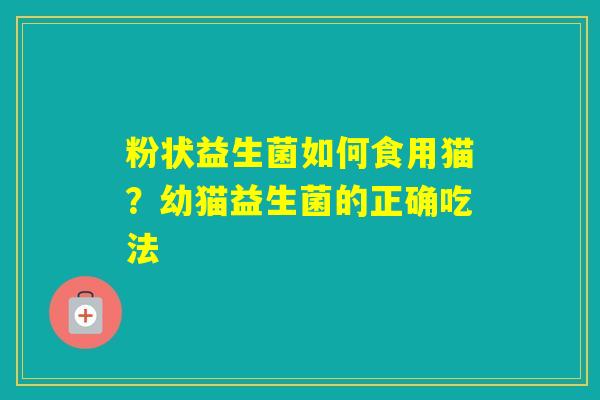 粉状益生菌如何食用猫？幼猫益生菌的正确吃法
