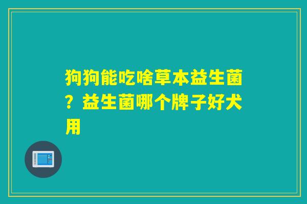 狗狗能吃啥草本益生菌？益生菌哪个牌子好犬用