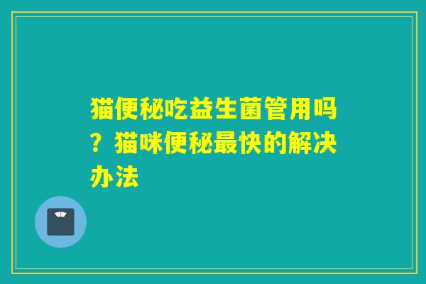 猫吃益生菌管用吗？猫咪快的解决办法