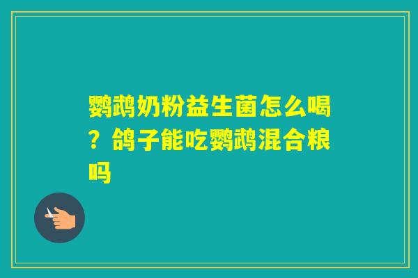鹦鹉奶粉益生菌怎么喝?鸽子能吃鹦鹉混合粮吗 鹦鹉奶粉益生菌怎么喝?鸽子能吃鹦鹉混合粮吗
