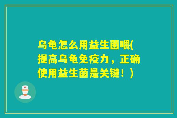 乌龟怎么用益生菌喂(提高乌龟力，正确使用益生菌是关键！)