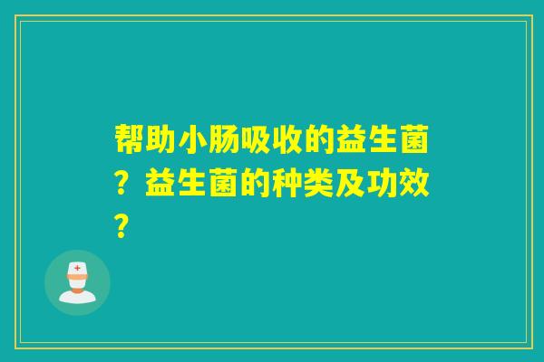 帮助小肠吸收的益生菌？益生菌的种类及功效？