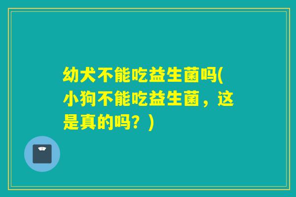 幼犬不能吃益生菌吗(小狗不能吃益生菌，这是真的吗？)