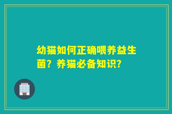 幼猫如何正确喂养益生菌？养猫必备知识？
