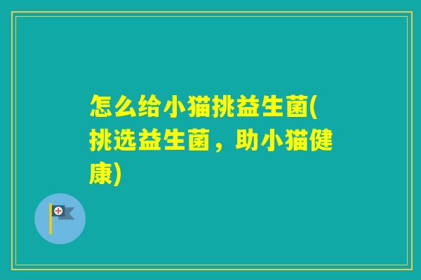 怎么给小猫挑益生菌(挑选益生菌，助小猫健康)