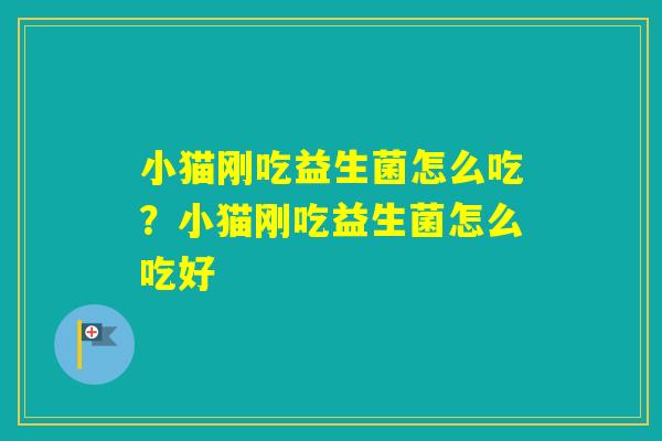 小猫刚吃益生菌怎么吃？小猫刚吃益生菌怎么吃好