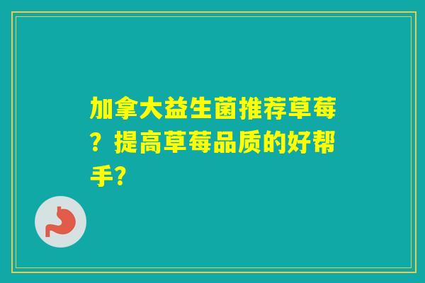 加拿大益生菌推荐草莓？提高草莓品质的好帮手？