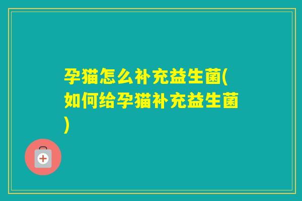 孕猫怎么补充益生菌(如何给孕猫补充益生菌)