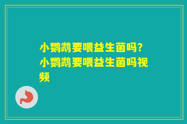 小鹦鹉要喂益生菌吗？小鹦鹉要喂益生菌吗视频