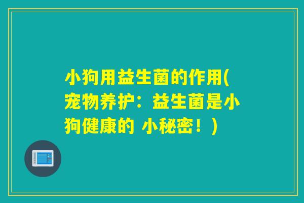 小狗用益生菌的作用(宠物养护:益生菌是小狗健康的 小秘密!) 小狗用益生菌的作用(宠物养护:益生菌是小狗健康的 小秘密!)