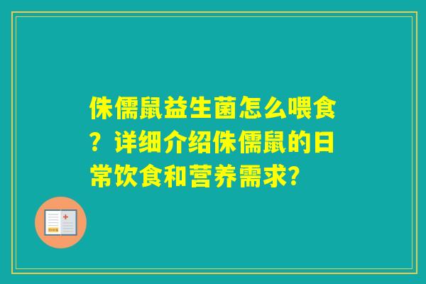 侏儒鼠益生菌怎么喂食？详细介绍侏儒鼠的日常饮食和营养需求？