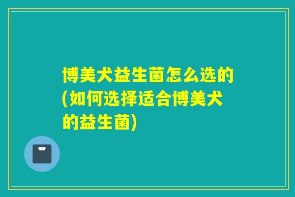 博美犬益生菌怎么选的(如何选择适合博美犬的益生菌)