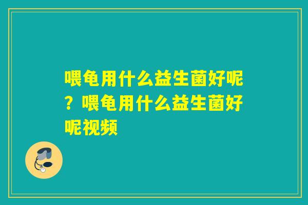 喂龟用什么益生菌好呢？喂龟用什么益生菌好呢视频