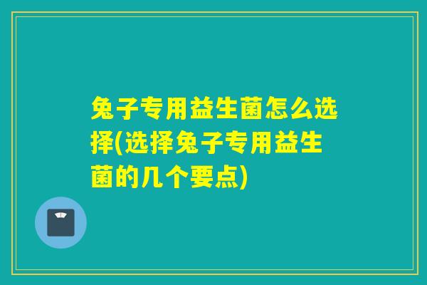 兔子专用益生菌怎么选择(选择兔子专用益生菌的几个要点)