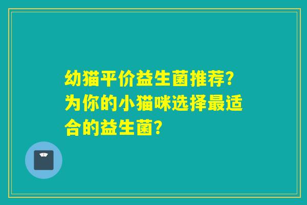 幼猫平价益生菌推荐？为你的小猫咪选择适合的益生菌？