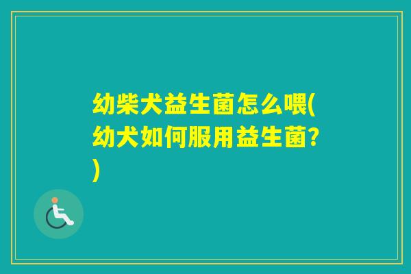 幼柴犬益生菌怎么喂(幼犬如何服用益生菌？)