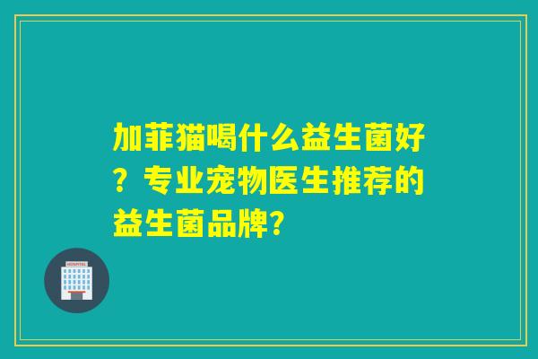 加菲猫喝什么益生菌好？专业宠物医生推荐的益生菌品牌？