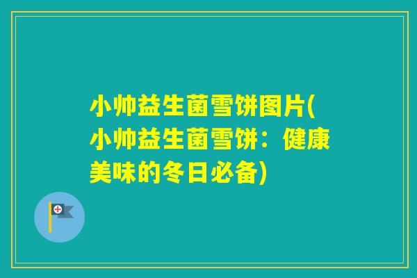 小帅益生菌雪饼图片(小帅益生菌雪饼：健康美味的冬日必备)