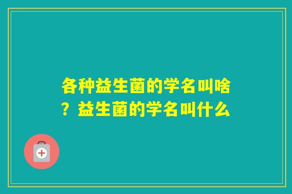 各种益生菌的学名叫啥？益生菌的学名叫什么