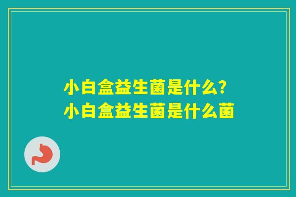 小白盒益生菌是什么？小白盒益生菌是什么菌