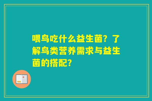 喂鸟吃什么益生菌？了解鸟类营养需求与益生菌的搭配？