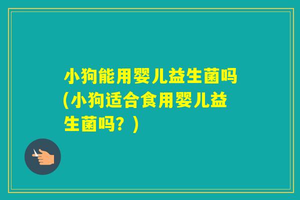 小狗能用婴儿益生菌吗(小狗适合食用婴儿益生菌吗?) 小狗能用婴儿益生菌吗(小狗适合食用婴儿益生菌吗?)