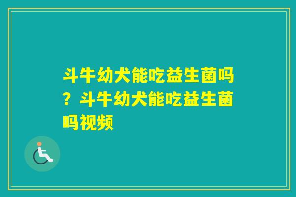 斗牛幼犬能吃益生菌吗？斗牛幼犬能吃益生菌吗视频