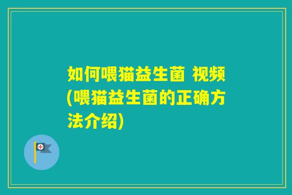 如何喂猫益生菌 视频(喂猫益生菌的正确方法介绍)