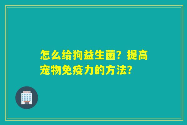 怎么给狗益生菌？提高宠物力的方法？