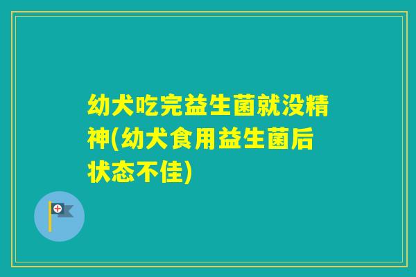 幼犬吃完益生菌就没精神(幼犬食用益生菌后状态不佳)