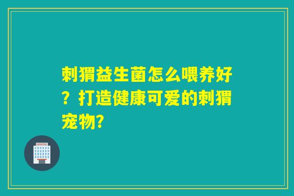 刺猬益生菌怎么喂养好？打造健康可爱的刺猬宠物？